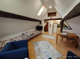 Dachgeschosswohnung in der Altstadt inklusive PKW-Parkplatz