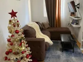 Dream apartmen