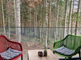 Green peace-Bjelašnica，位于Sarajevo的酒店