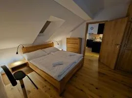 Benecko moderní apartmán A30 by AlkaTravel