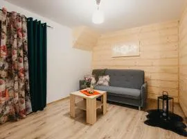 Zacisze z bilardem, sauną i jacuzzi