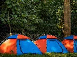 Dandeli Resorts - Luxury