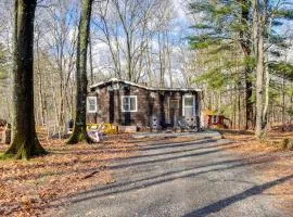 Mtn Views and On-Site Hiking Trails Catskills Cabin