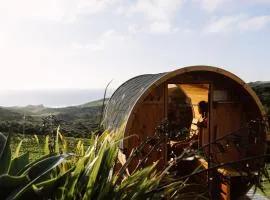 Barrique Studio with Sauna at Barrelled Wines Raglan