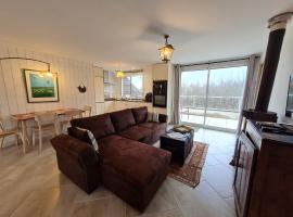 Gîte en Sologne avec Activités & Vol en Montgolfière - FR-1-590-550，位于Jouy-le-Potier的酒店