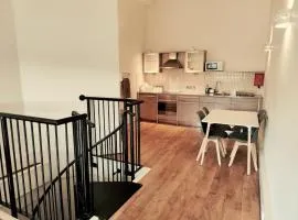 PENTHOUSE APARTMENT - FREE GARAGED Parking - BALCONY - GYM