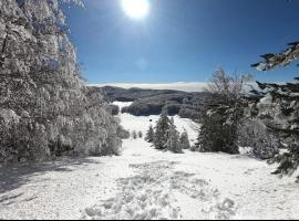 GENZIANA，位于Cotronei的酒店