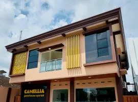 Camelia Guesthouse Syariah