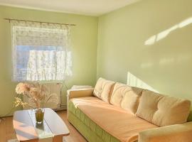 Apartman Rosić，位于Arilje的酒店