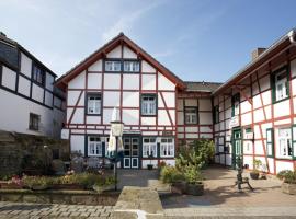 Hotel Haus Mühlbach，位于尼德根的酒店