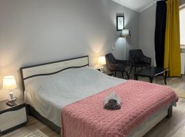 Ștefan House 1，位于Căuşeni的酒店