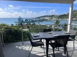 La pinta SXM