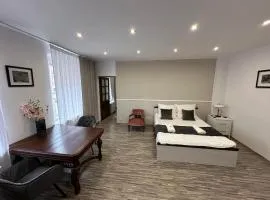 Apartment Chorzow Center