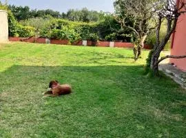 Descanso del GUERRERO