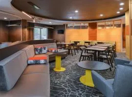 春季山丘套房兰卡斯特帕姆代尔万豪酒店