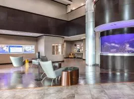 万豪韦科伍德韦春季山丘套房酒店