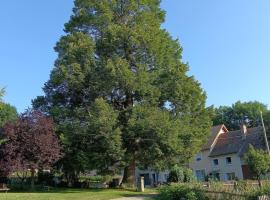 Gîte du Tilleul，位于加普的酒店