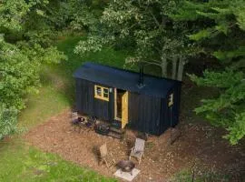 Secret Paddock Shepherds Hut