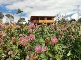 Cabaña Colibri