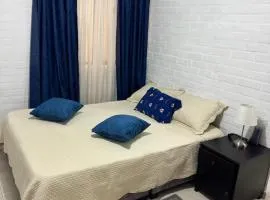 Acogedor Aparta estudio central