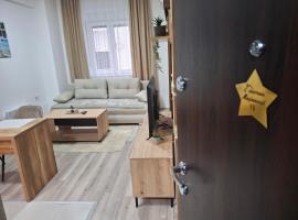 Apartmani Marjanovic，位于雅戈丁那的酒店