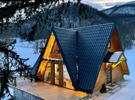 Villa Paradise Bjelašnica Luxury Chalet with Mountain View