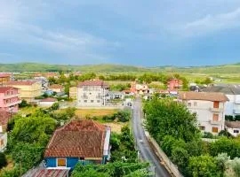 EuroVelo - Entire apartment - City Center