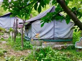 woodland camping tent jibhi