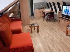 apartman 1 porodicni uzice