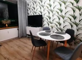 Palmowy Zakątek 2 pokoje dla rodziny Apartament Deluxe