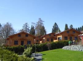 Harz - Blockhaus, 4 und 5 Sterne Blockhäuser, Sauna und Kamin，位于哈嫩克利博克斯维斯的酒店