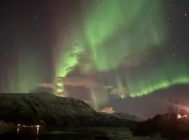 Arctic Sealodge Malangen cabin 4 Sæterbergan