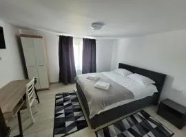 Apartmentul Radu