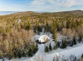 L'ours de Charlevoix - Chalet proche du Massif avec spa