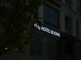 Annk Hotel Sejong，位于Sejong的酒店