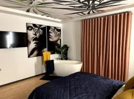 Appartement fabuleux 100 m2 parking privatif entièrement climatisé