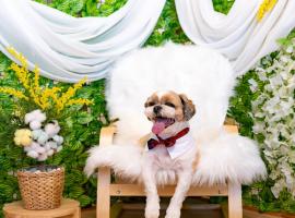 Taean WithDog Aegyeonspa Poolvilla，位于泰安的酒店