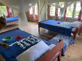 Voyager Retreat Homestay，位于Nanuya Lailai的酒店