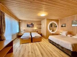 B&B Family Accommodation Canazei SKI-IN SKI-OUT，位于卡纳泽伊的酒店