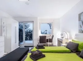 Schwarzwaldblick C App 2 mit Pool