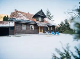 Cozy Alpine House