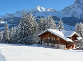 Chalet Meiseli，位于阿德尔博登的酒店
