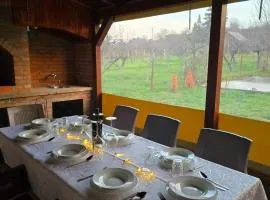 Diamond House Rent Vikendica