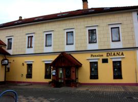 Penzion Diana，位于Nový Jáchymov的酒店