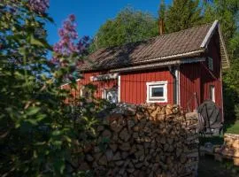 Old Hunter's Cabin