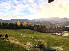 Résidence Les Cytises - Appartement de 51 m2 avec un grand balcon 4 personnes MAE-6841