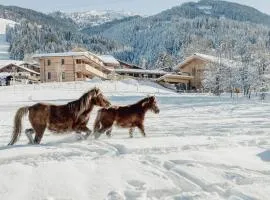 Mariengut - Natur Aparthotel Kramer