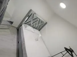Amplia casa de 5 dormitorios con garaje y cocinas dobles