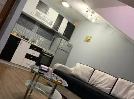 Apartman Sofi