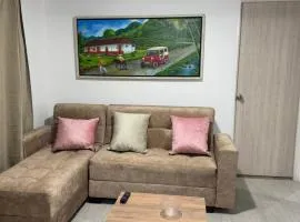 Beautiful New Apartment